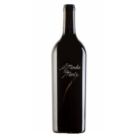 stefano antovucci santa barbara il maschio da monte-enoteca san lorenzo riccione