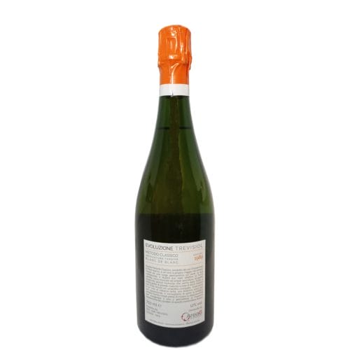 Evoluzione Metodo Classico Sboccatura 2020 Annata 1989 - Trevisiol - immagine 2
