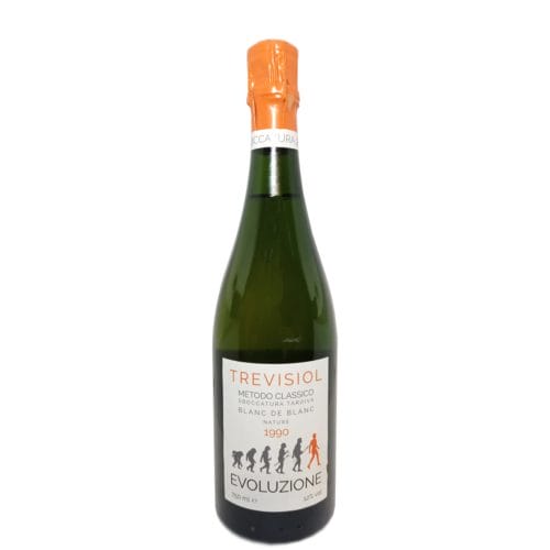 Evoluzione Metodo Classico Sboccatura 2020 Annata 1990 - Trevisiol