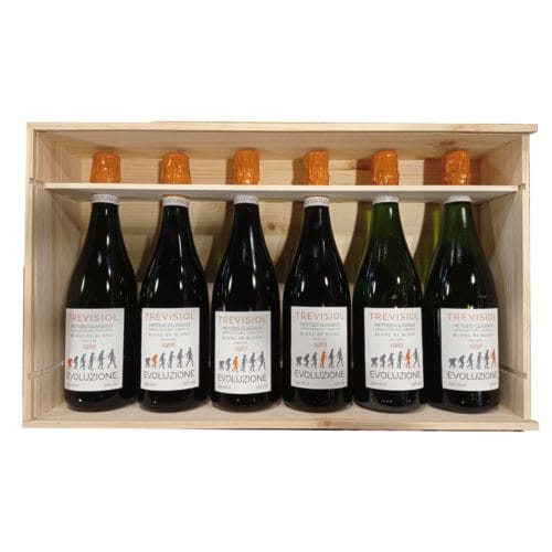Evoluzione Sboccatura 2020 Annate 85-86-87-88-89-90 - Trevisiol (Cassa legno)