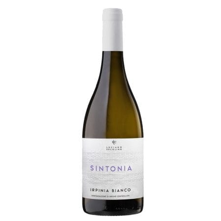 luciano ercolino sintonia irpinia bianco-enoteca san lorenzo riccione