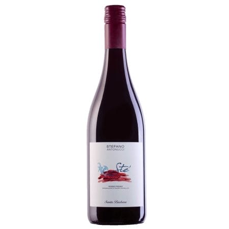 stefano antovucci santa barbara rosso piceno stè-enoteca san lorenzo riccione